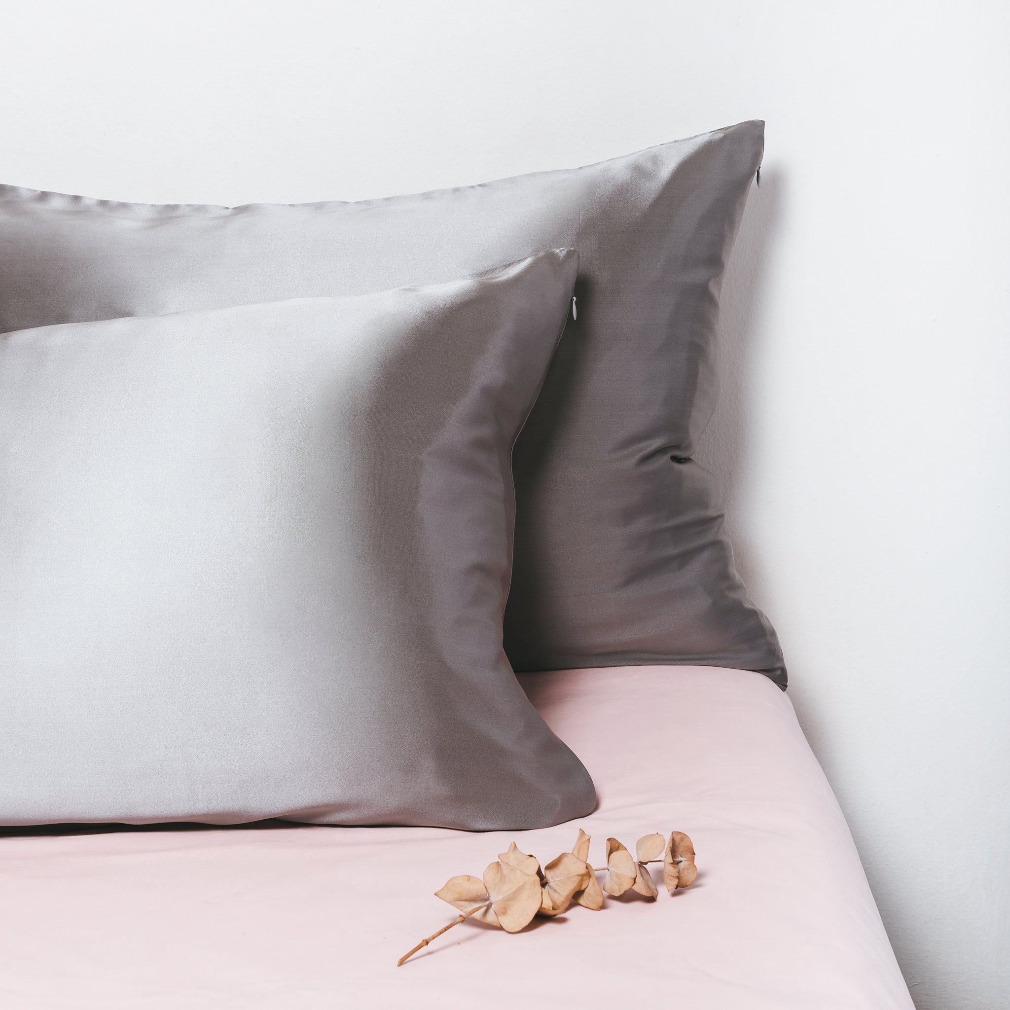 Silk Pillowcase Set - Dream Silver